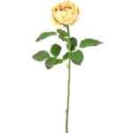 54*66CM Autumn Peony*2(S) GS-2580113-Y1