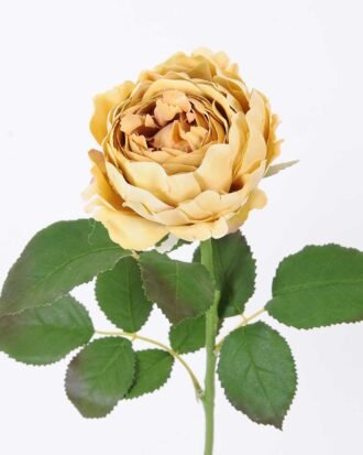 54*66CM Autumn Peony*2(S) GS-2580113-Y1