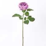 54*66CM Autumn Peony*2(S) GS-2580113-Z1