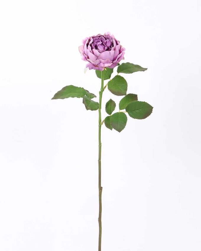 54*66CM Autumn Peony*2(S) GS-2580113-Z1