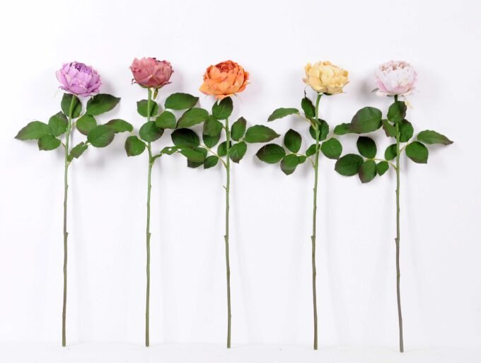 54*66CM Autumn Peony*2(S) GS-2580113-Z1