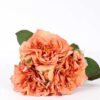 27*33CM Rose Bouquet GS-2580114-O1