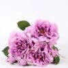27*33CM Rose Bouquet GS-2580114-Z1