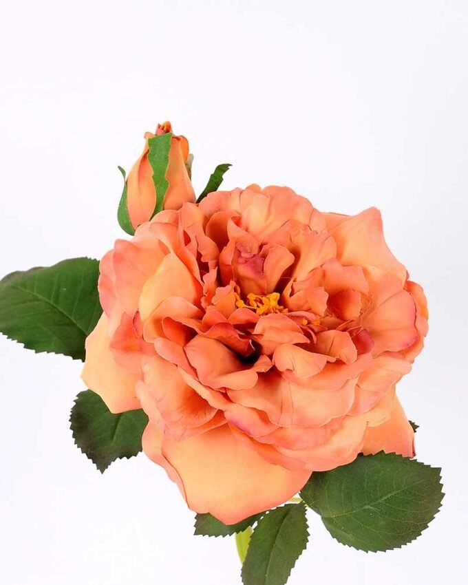 32*30CM Single  Rose GS-2580115-O1