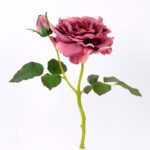 32*30CM Single  Rose GS-2580115-P1