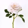 32*30CM Single  Rose GS-2580115-W1