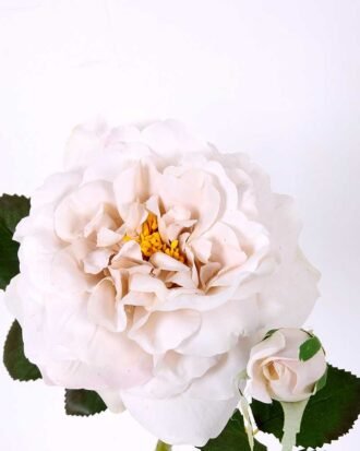 32*30CM Single  Rose GS-2580115-W1