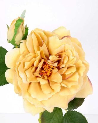 32*30CM Single  Rose GS-2580115-Y1