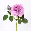 32*30CM Single  Rose GS-2580115-Z1