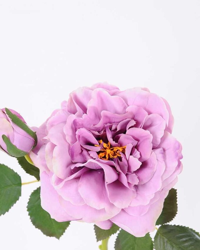 32*30CM Single  Rose GS-2580115-Z1