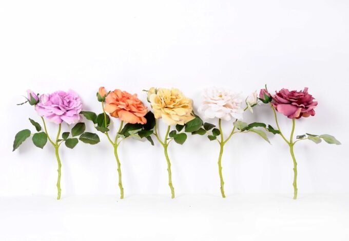 32*30CM Single  Rose GS-2580115-Z1