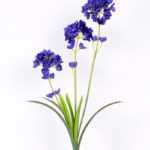 20*20*68CM Mini flower*3 GS-2620034-Z1