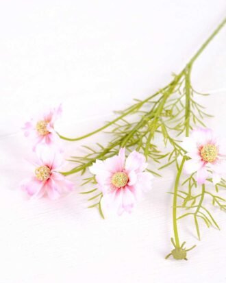 15*15*50CM MUM spray*5 GS-2620069-P1