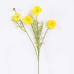 15*15*50CM MUM spray*5 GS-2620069-Y1