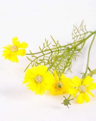 15*15*50CM MUM spray*5 GS-2620069-Y1