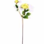 12*12*52CM ROSE SPRAY*2 GS-2620089-G1