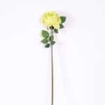 12*12*72CM single rose GS-2620110-G1