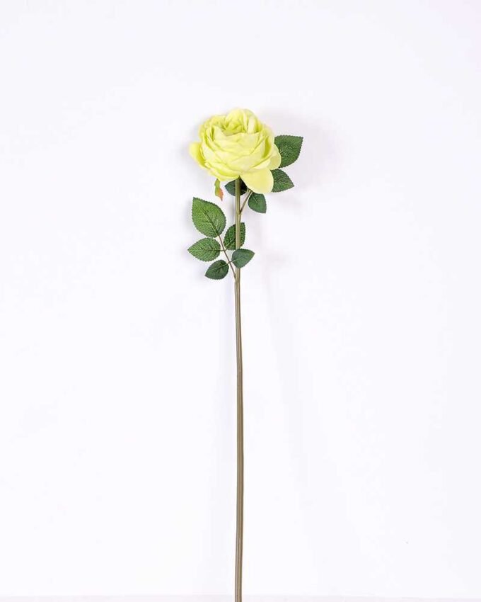 12*12*72CM single rose GS-2620110-G1