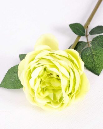 12*12*72CM single rose GS-2620110-G1