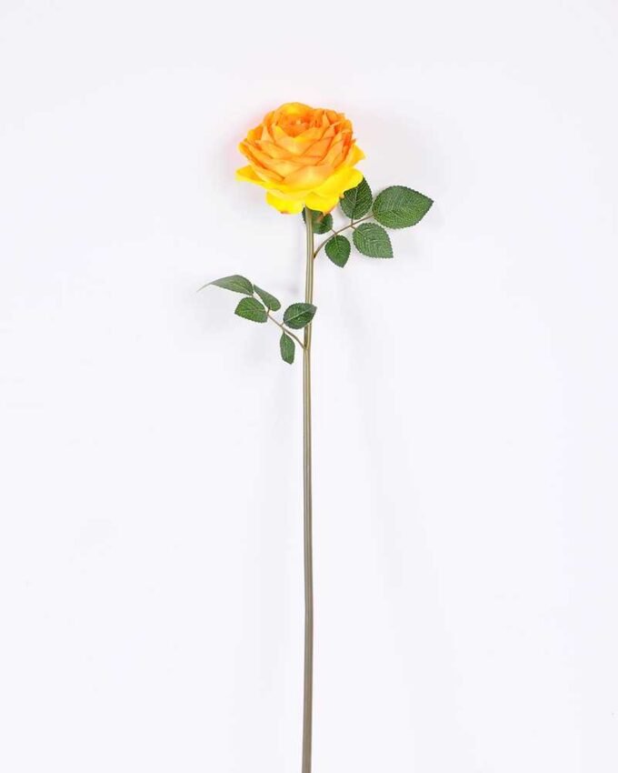 12*12*72CM single rose GS-2620110-O1