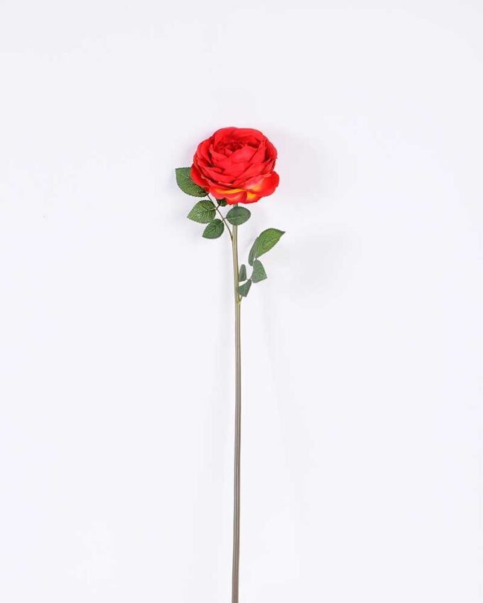 12*12*72CM single rose GS-2620110-R1