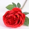 12*12*72CM single rose GS-2620110-R1