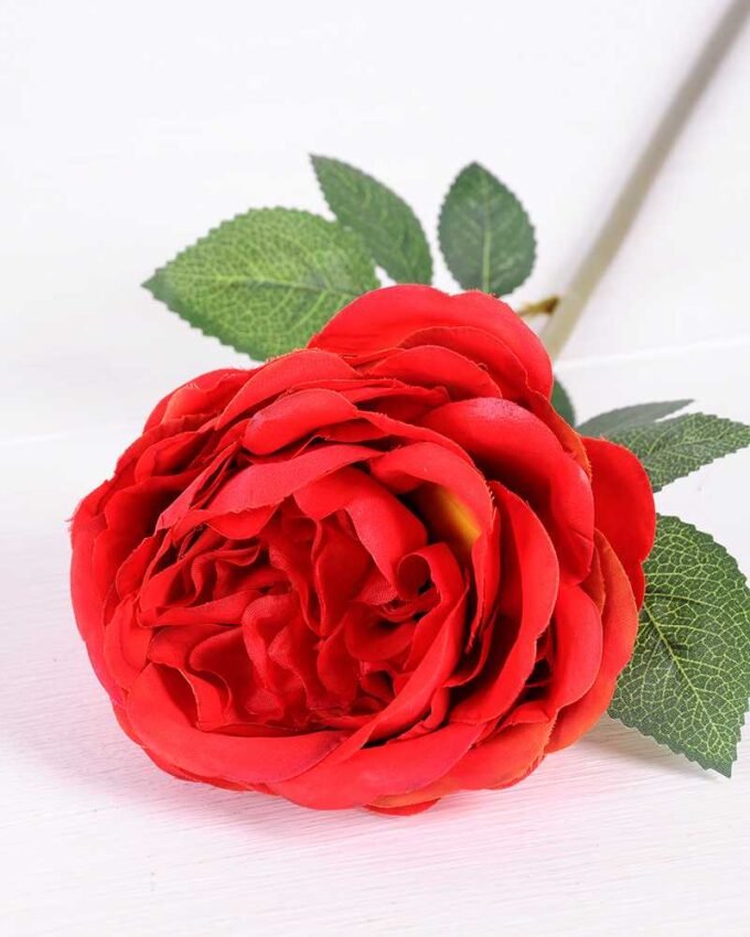 12*12*72CM single rose GS-2620110-R1