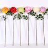 12*12*72CM single rose GS-2620110-R1
