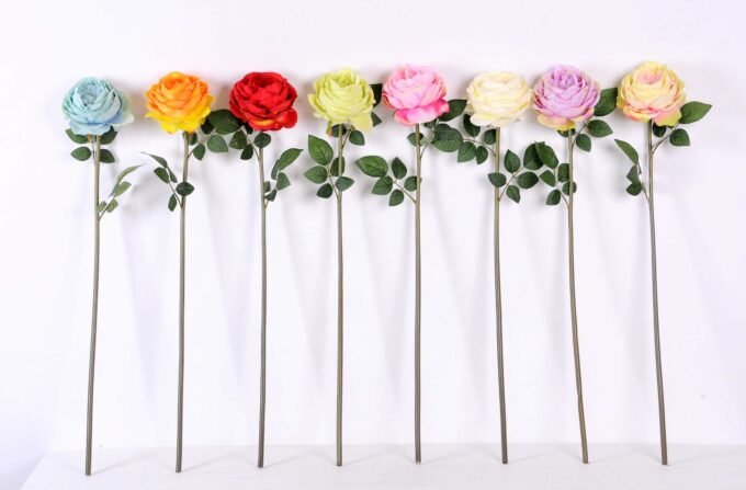 12*12*72CM single rose GS-2620110-R1