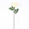 12*12*72CM single rose GS-2620110-W1