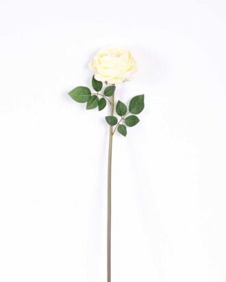 12*12*72CM single rose GS-2620110-W1