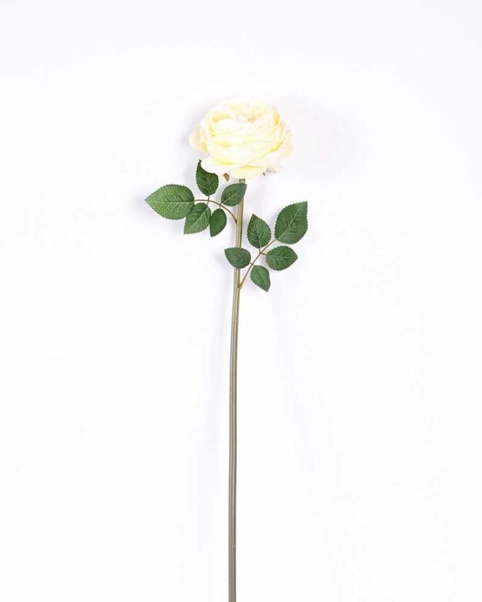 12*12*72CM single rose GS-2620110-W1