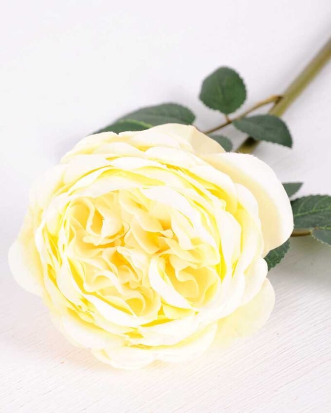 12*12*72CM single rose GS-2620110-W1