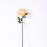 12*12*72CM single rose GS-2620110-Y1