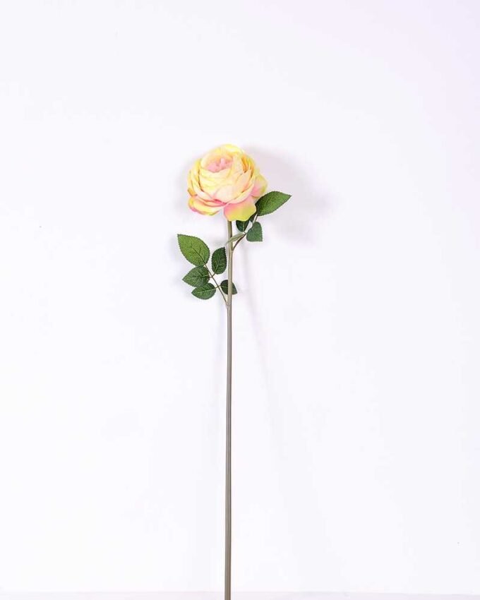 12*12*72CM single rose GS-2620110-Y1