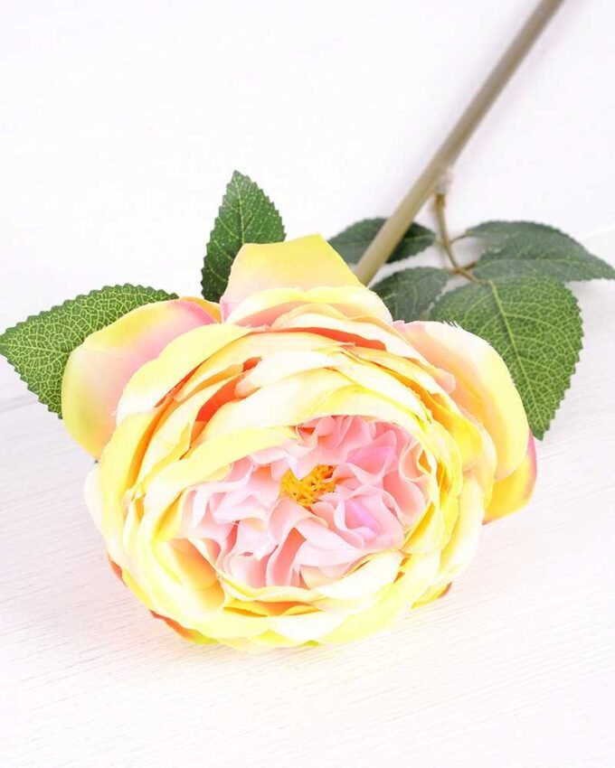 12*12*72CM single rose GS-2620110-Y1