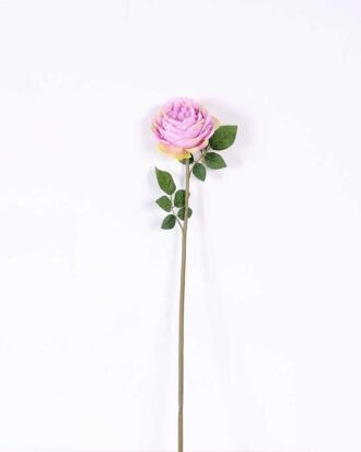 12*12*72CM single rose GS-2620110-Z1