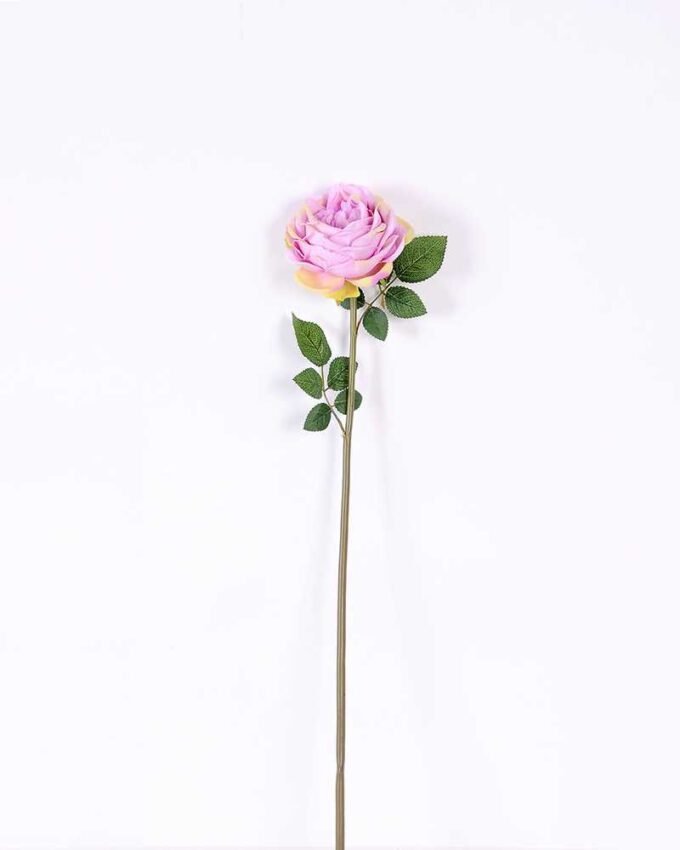 12*12*72CM single rose GS-2620110-Z1