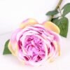 12*12*72CM single rose GS-2620110-Z1