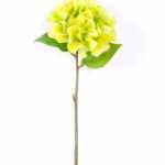 20*20*43cm Single Hydrangea GS-2620166-G1