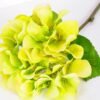 20*20*43cm Single Hydrangea GS-2620166-G1