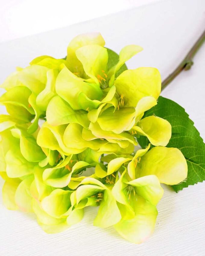 20*20*43cm Single Hydrangea GS-2620166-G1