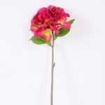 20*20*43cm Single Hydrangea GS-2620166-R1