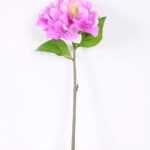 20*20*43cm Single Hydrangea GS-2620166-Z1