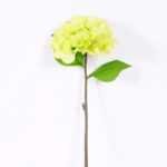25*2543cm Single Hydrangea GS-2620169-G1