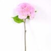 25*2543cm Single Hydrangea GS-2620169-P1