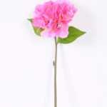 25*2543cm Single Hydrangea GS-2620169-P2
