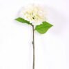 25*2543cm Single Hydrangea GS-2620169-W1
