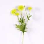 17*17*24CM Single Carnation*4 GS-2620188-G1