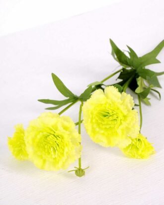 17*17*24CM Single Carnation*4 GS-2620188-G1